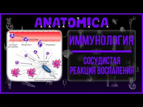 Основные причины возникновения воспаления