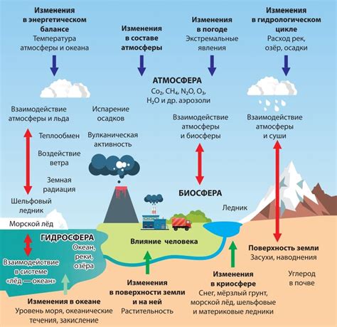 Основные причины и последствия неудаления отцветших цветков