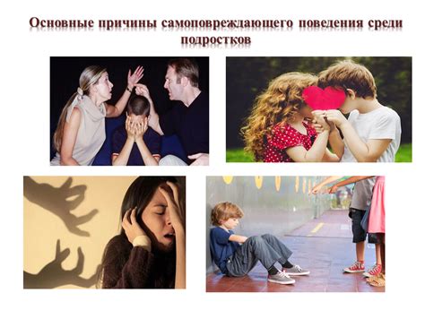 Основные причины поведения котенка