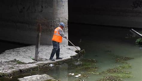 Основные проблемы, связанные с наличием мусора и водорослей в пруду