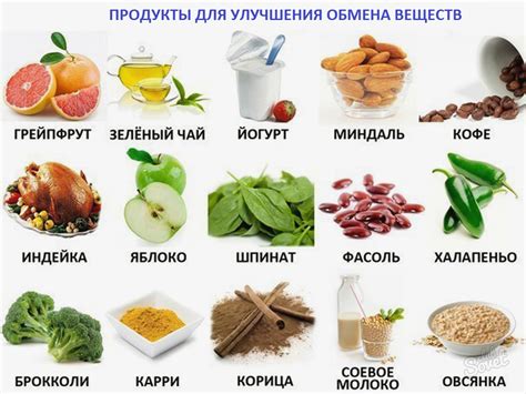 Основные продукты для питания в лесу