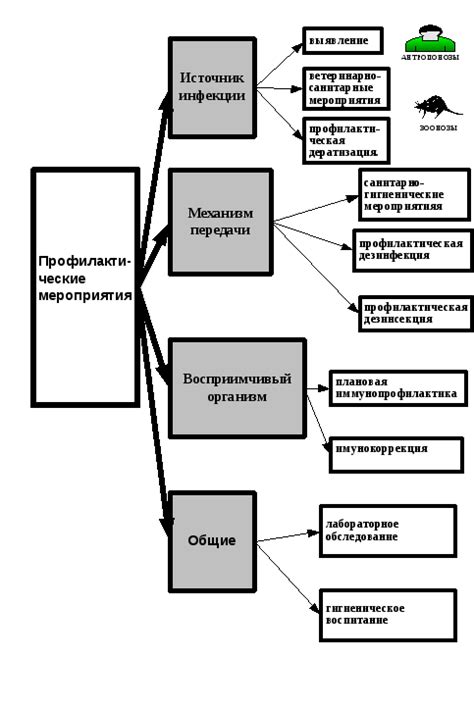 Основные профилактические мероприятия