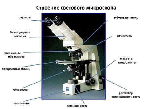 Основные свойства и характеристики объектива микроскопа