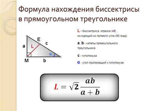 Основные свойства прямоугольного треугольника