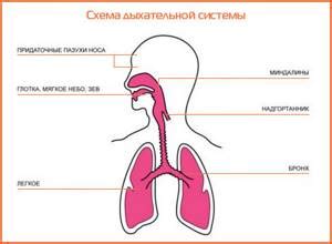 Основные симптомы катара верхних дыхательных путей