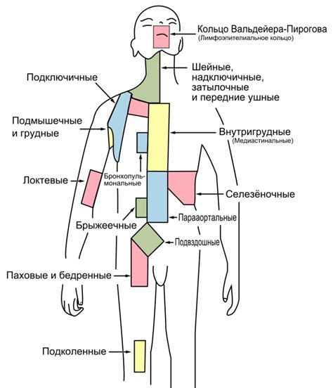 Основные симптомы увеличенных лимфоузлов