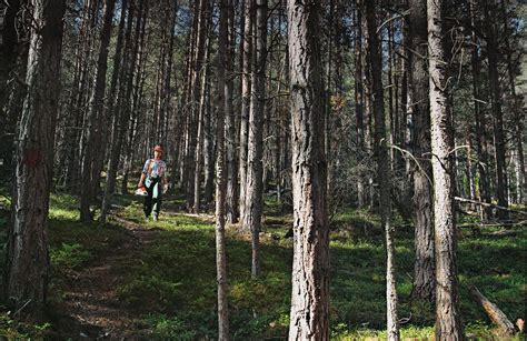 Основные способы устранения накипи