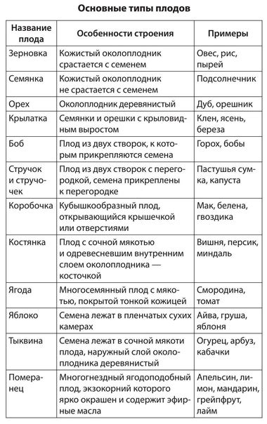 Основные типы значков статуса ВКонтакте