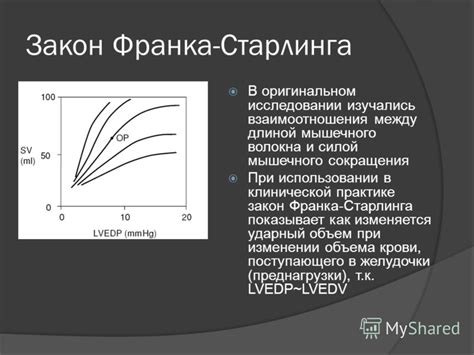 Основные факторы и механизмы краснения