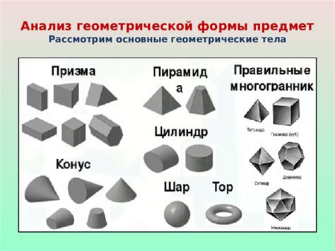 Основные формы тела дельфина