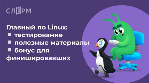 Основные функции Олд бота и их настройка