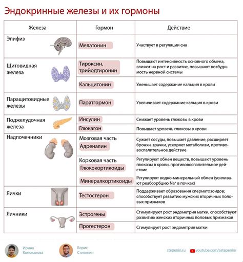 Основные функции рипера и их настройка