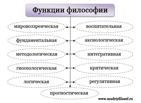 Основные функции Poyzn