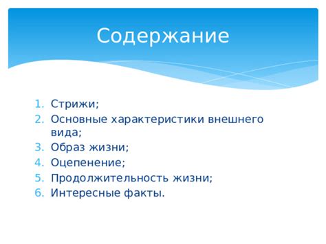 Основные характеристики внешнего уровня