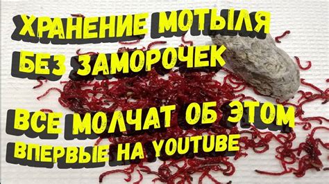 Основные характеристики мотыля