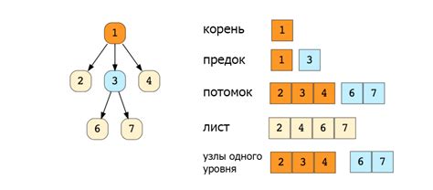 Основные характеристики структуры данных дерево