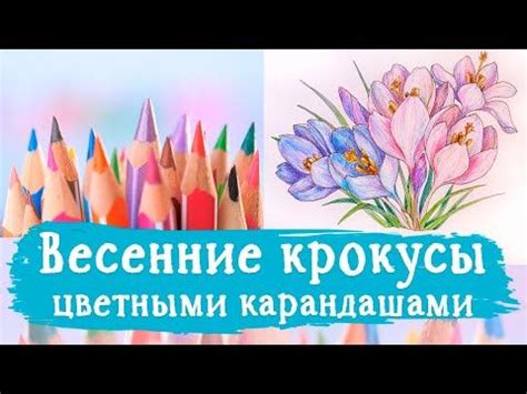 Основные шаги рисования цветов карандашами