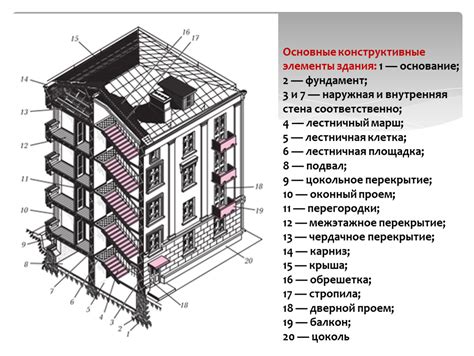 Основные элементы лица