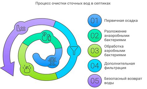 Основные этапы очистки чеснока