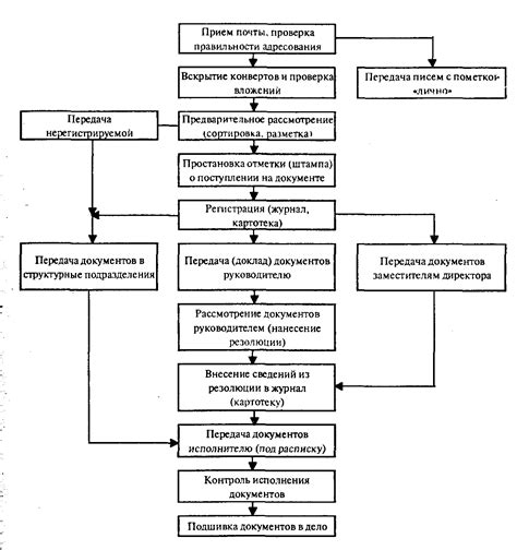 Основные этапы первичного медицинского осмотра