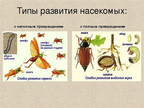 Основные этапы полного гайда по изготовлению иридия