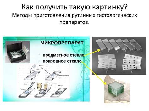 Основные этапы приготовления BCAA