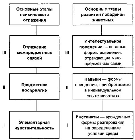 Основные этапы развития жанра