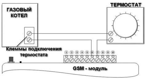 Основные этапы установки и настройки