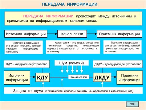 Основы информации