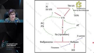 Основы и уникальные аспекты