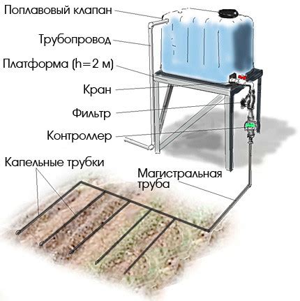 Основы капельного полива