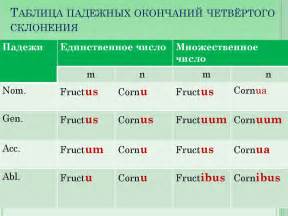 Основы падежей латинских слов