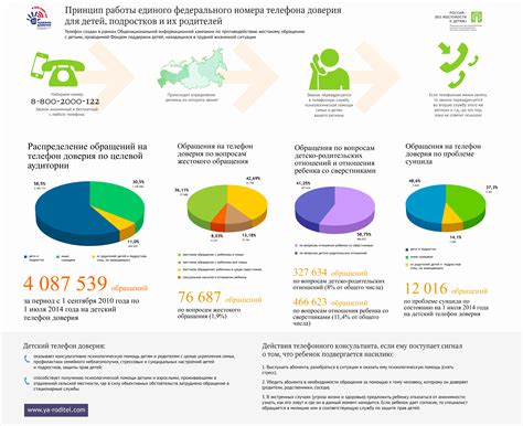 Основы получения федерального номера телефона