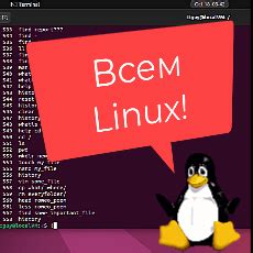 Основы работы в Linux