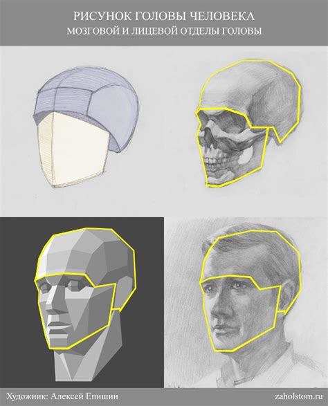 Основы рисования головы человека