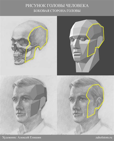 Основы рисунка человека