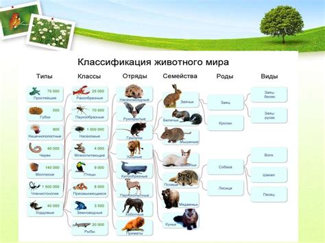 Основы систематики живых организмов