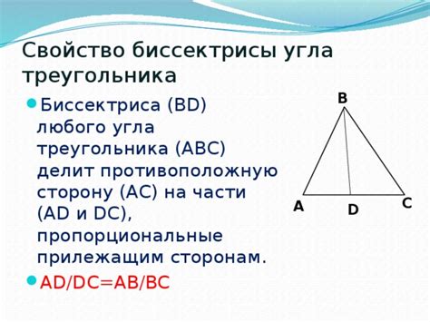 Особенности биссектрисы треугольника