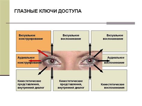 Особенности визуальной восприимчивости