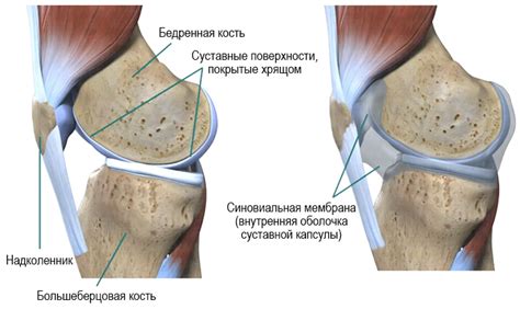 Особенности врачебного промывания коленного сустава