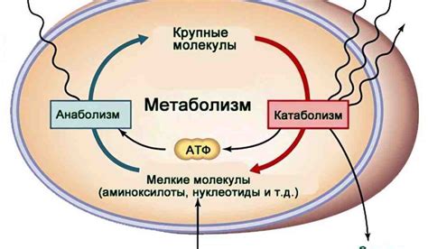 Особенности данного процесса