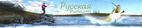 Особенности законодательства о рыбалке на Волге