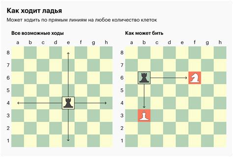 Особенности игры в шахматы для детей