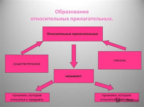 Особенности использования относительных прилагательных в 6 классе