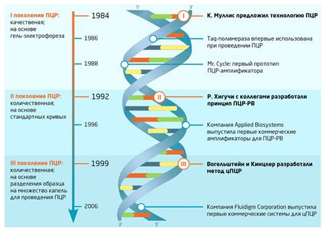 Особенности и ограничения ПЦР-диагностики