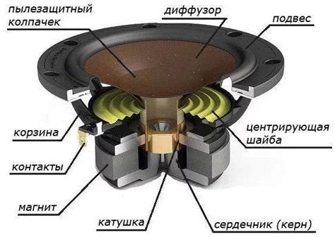 Особенности и принцип работы среднечастотной динамики