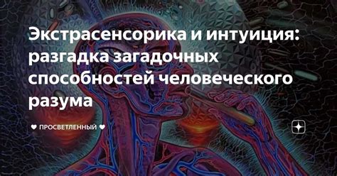 Особенности и секреты мастерства: дыхание, интуиция и взаимодействие