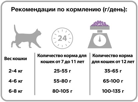 Особенности кормления кошек для контроля уровня мочевины