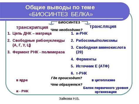 Особенности мономера РНК: тест с ответами для углубленного изучения