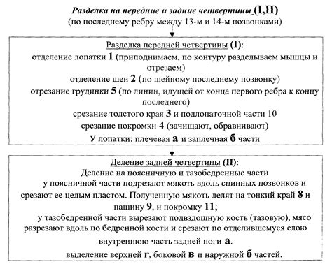 Особенности обработки домашних животных